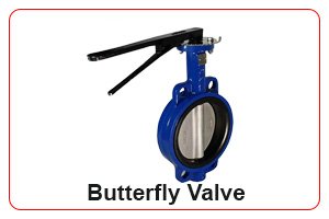 b f valve