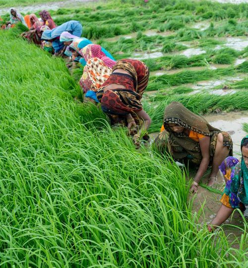 Rain Water Harvesting rural